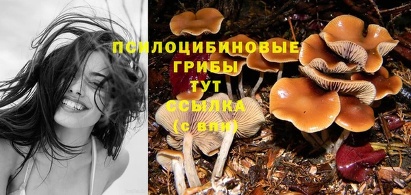 мет Гусев