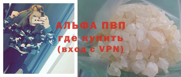 ECSTASY Горняк