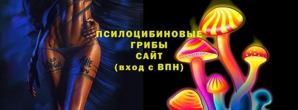 круглые Гусиноозёрск