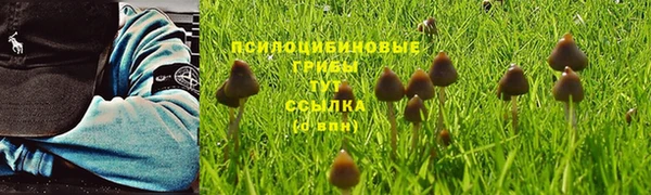 ECSTASY Горняк