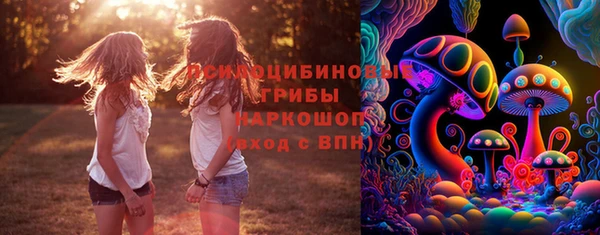 мет Гусев