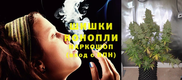 хмурый Горно-Алтайск