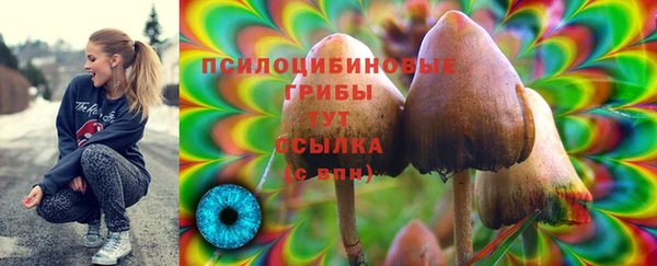 круглые Гусиноозёрск