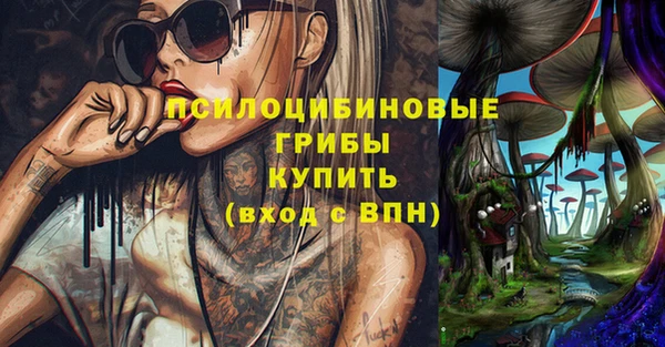 гидропоника Гусь-Хрустальный