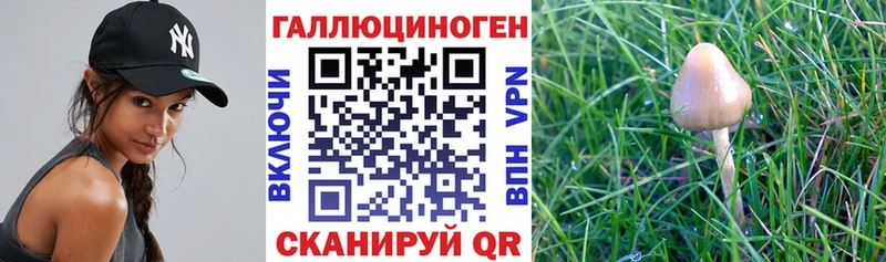 Галлюциногенные грибы GOLDEN TEACHER Няндома
